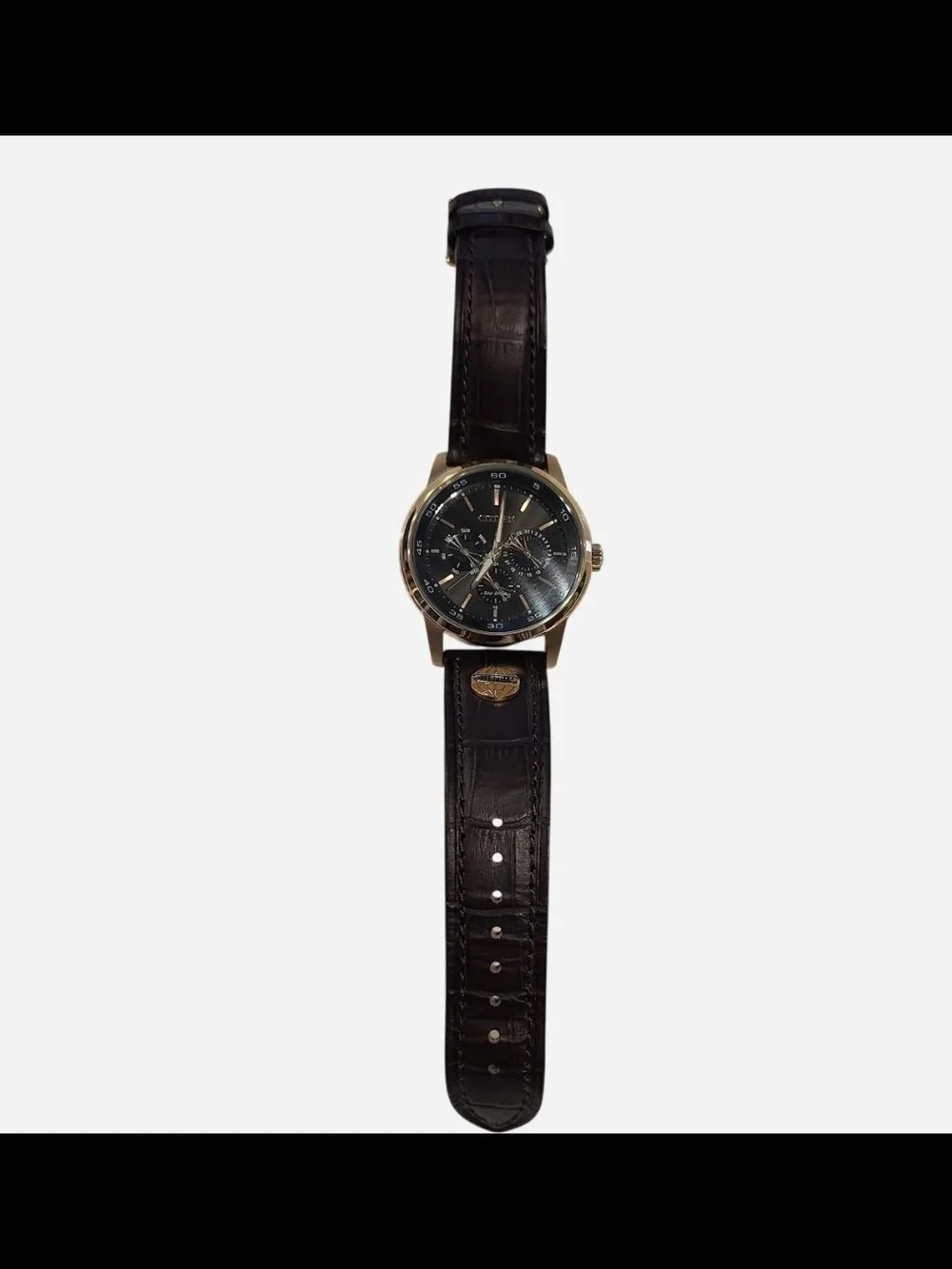 Citizen Eco-Drive Corso Men’s Watch - Gold & Leather - Model BU2013-08E